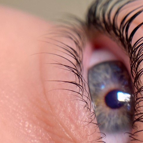 lamination bottom lashes