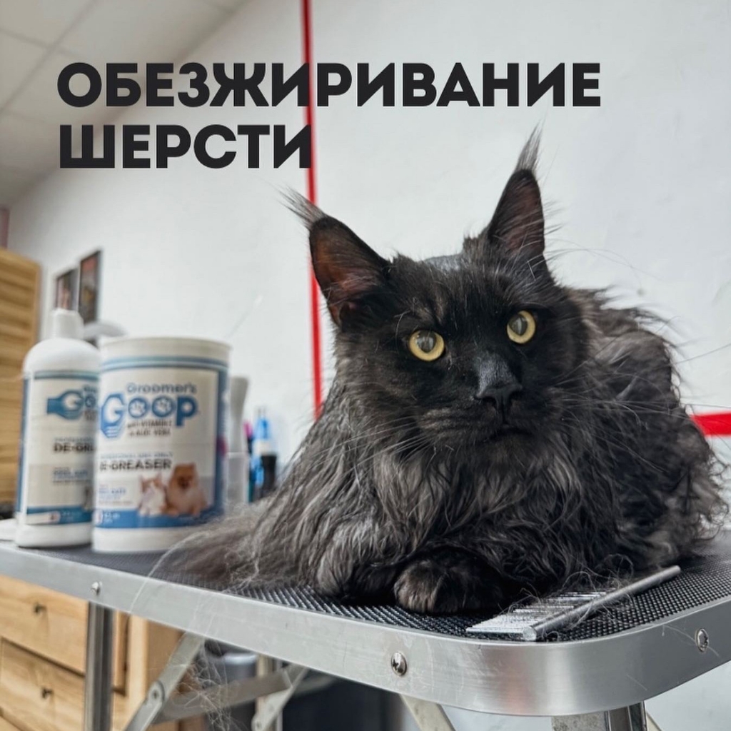 Обезжиривание шерсти