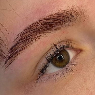 Комплексное оформление бровей (коррекция+окрашивание)