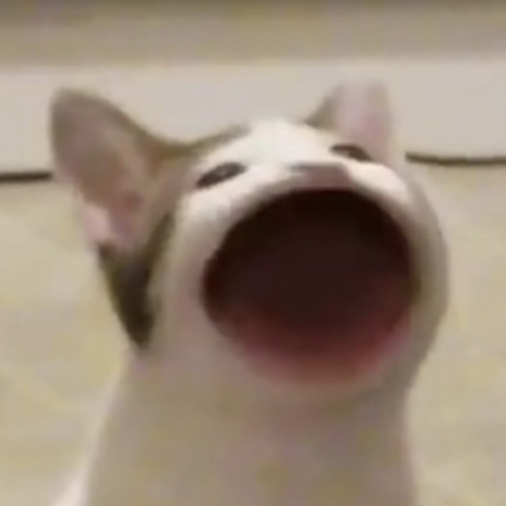 Приём по курсу OpenWide