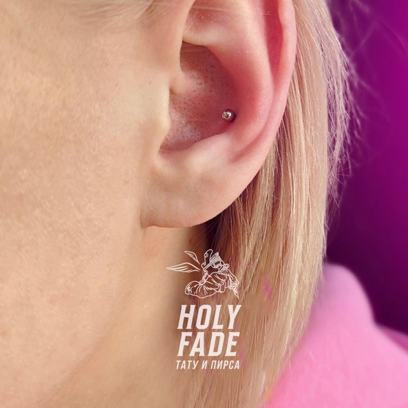 Пирсинг Конч