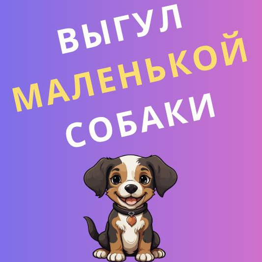 Выгул маленькой собаки (прогулка 40 минут) ТИХАЯ, ЧУРКИН