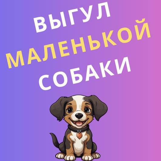 Выгул маленькой собаки (прогулка 40 минут) ДАЛЬЗАВОД, ГАЙДАМАК