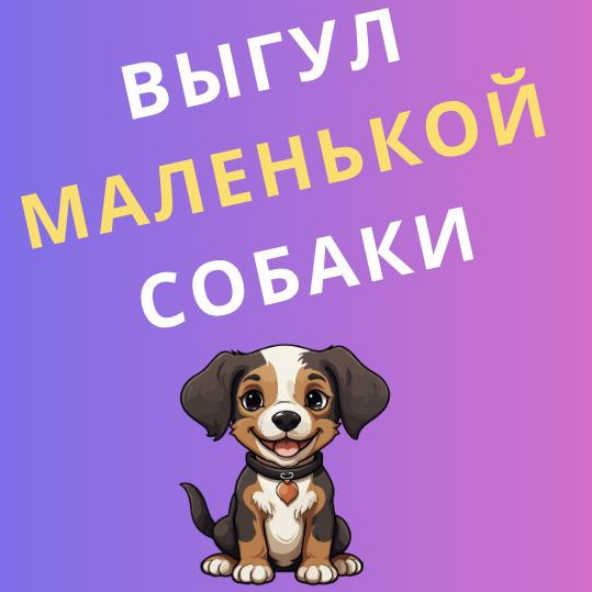 Выгул маленькой собаки (прогулка 40 минут) ЭГЕРШЕЛЬД, ЦЕНТР