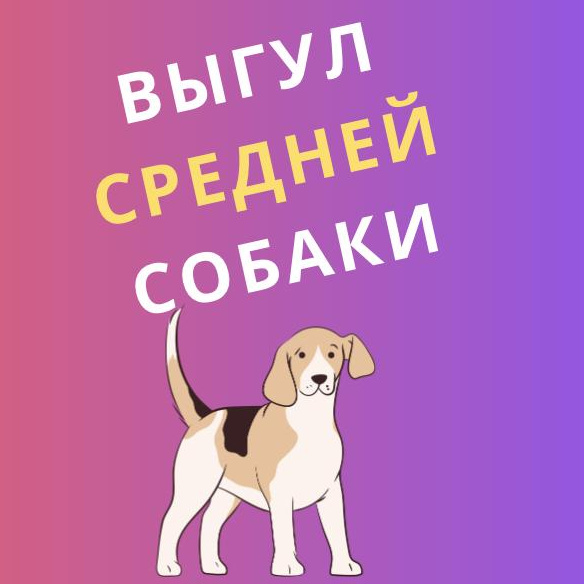 Выгул средней собаки (прогулка 40 минут) ВТОРАЯ РЕЧКА, СНЕГОВАЯ ПАДЬ, ЗАРЯ