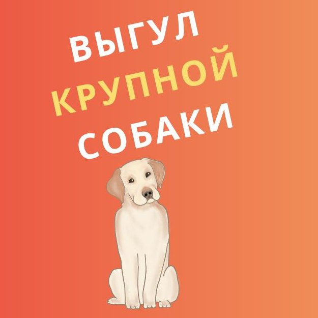 Выгул крупной собаки (прогулка 40 минут) ВТОРАЯ РЕЧКА, СНЕГОВАЯ ПАДЬ, ЗАРЯ