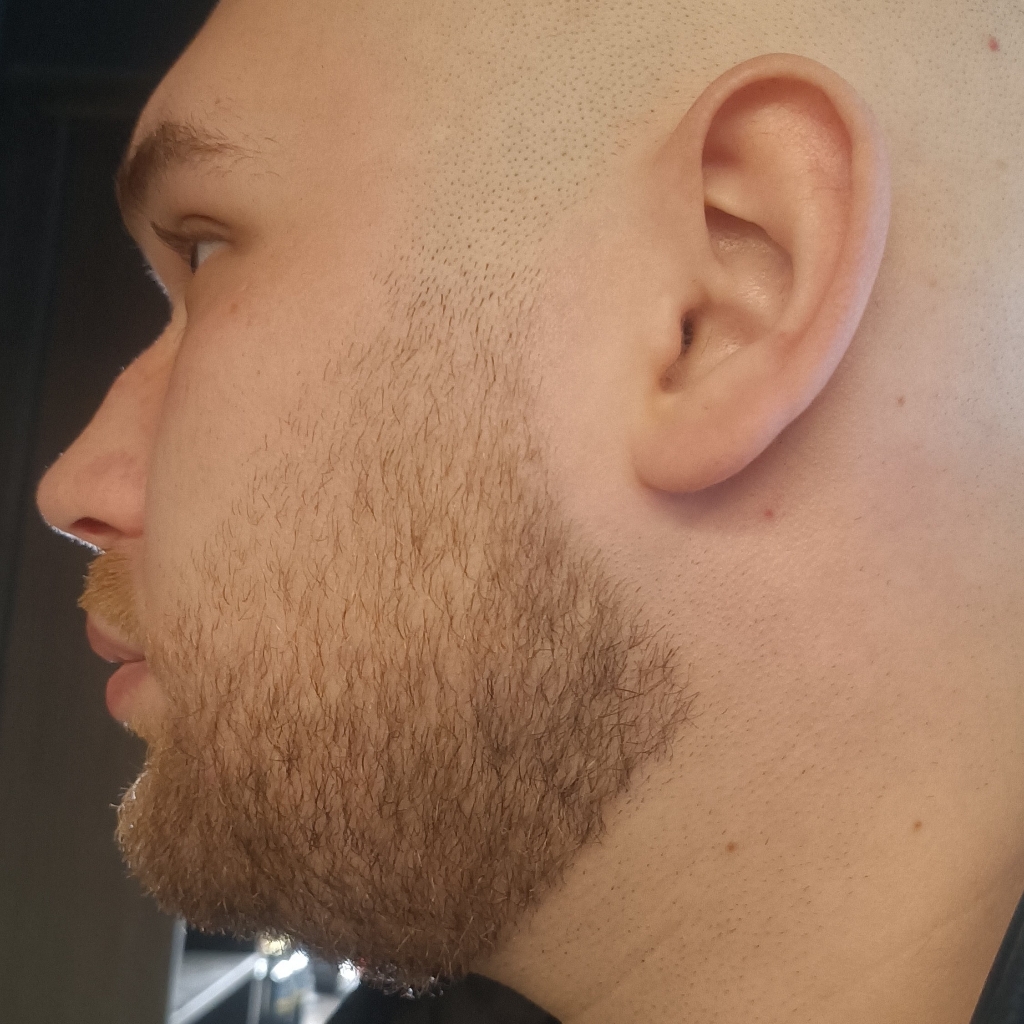 Beard design (clipper + trimmer + shaver)