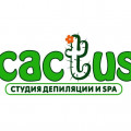 Студия депиляции Cactus