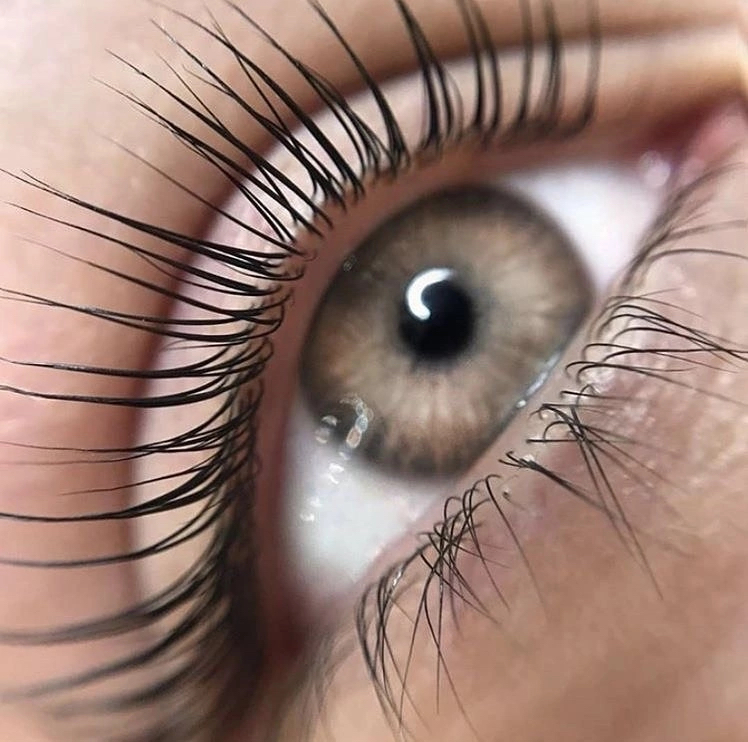 BOTOX LASHES (ботокс ресниц)