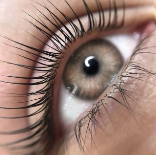BOTOX LASHES (ботокс ресниц)