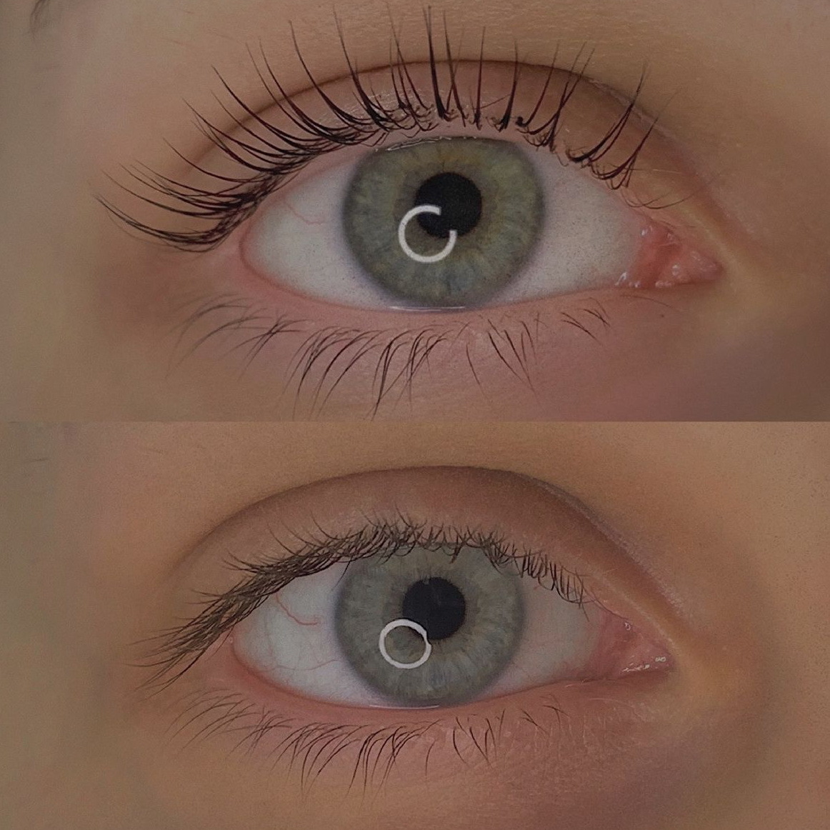 Ламинирование ресниц + BOTOX
